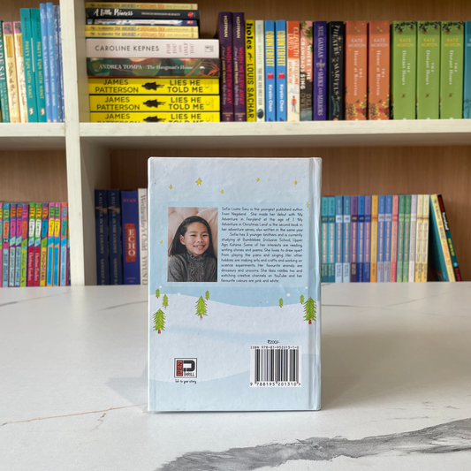 My Adventure In Christmas Land