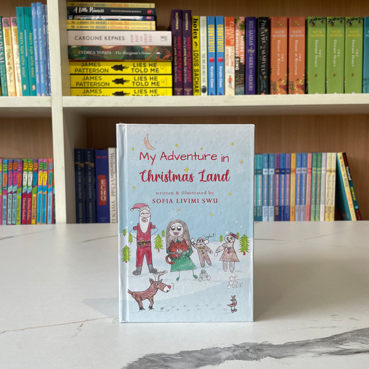 My Adventure In Christmas Land